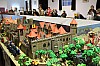 IMG_5434.jpg